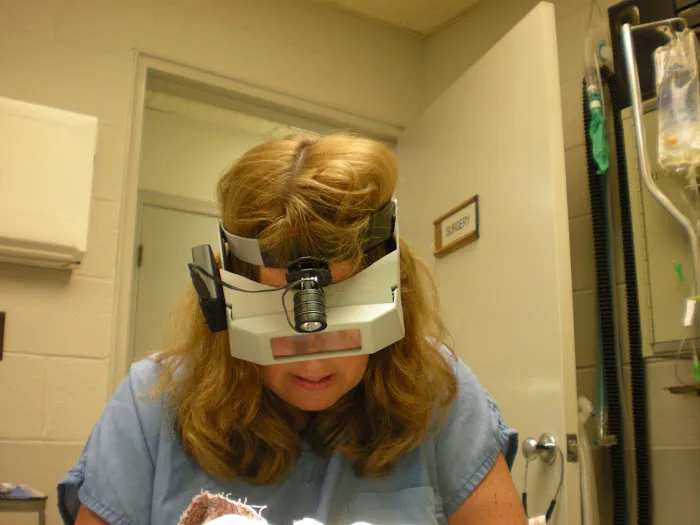 Winston Veterinary Hospital 12