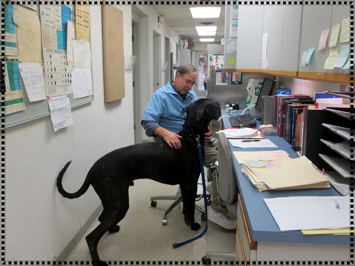 Winston Veterinary Hospital 12
