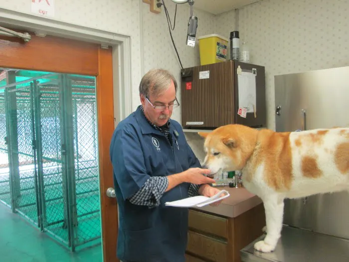 Winston Veterinary Hospital 12