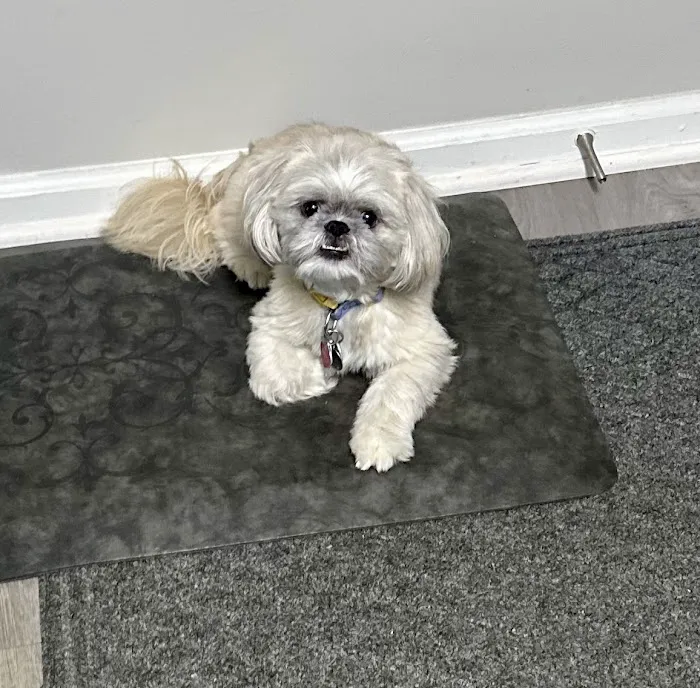 Banfield Pet Hospital 12