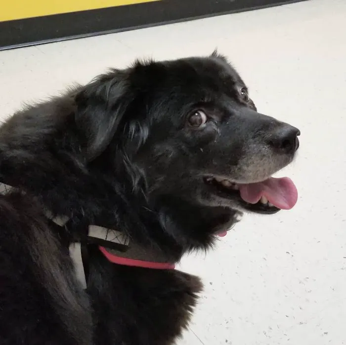Banfield Pet Hospital 12