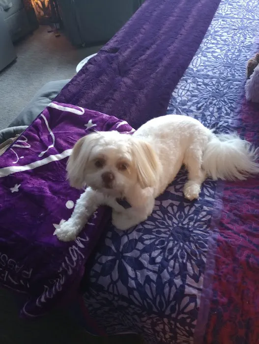 Banfield Pet Hospital 12