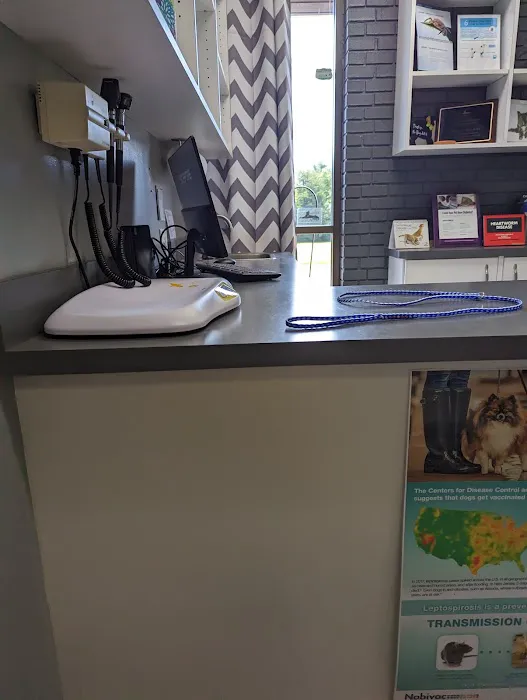 Animal Health and Wellness Hospital 12