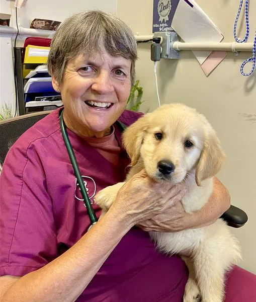 Animal Care Clinic of Rural Hall 12