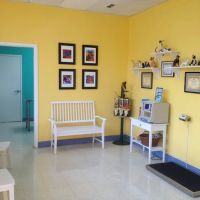 Animal Care Clinic of Rural Hall ico
