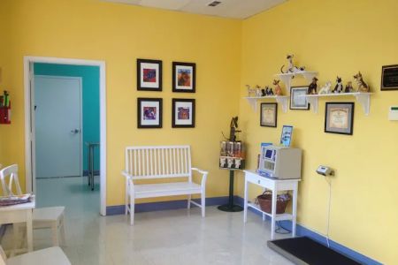 Animal Care Clinic of Rural Hall