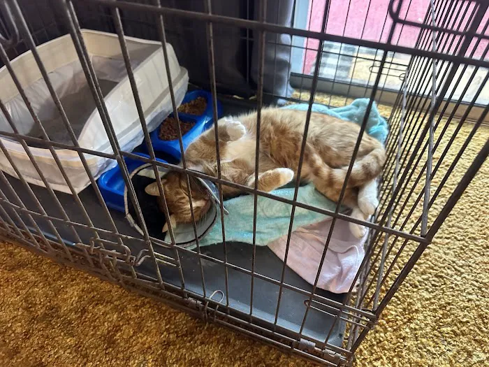Mountain View Veterinary Clinic 3