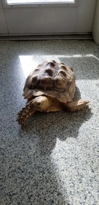 Mountain View Veterinary Clinic 4