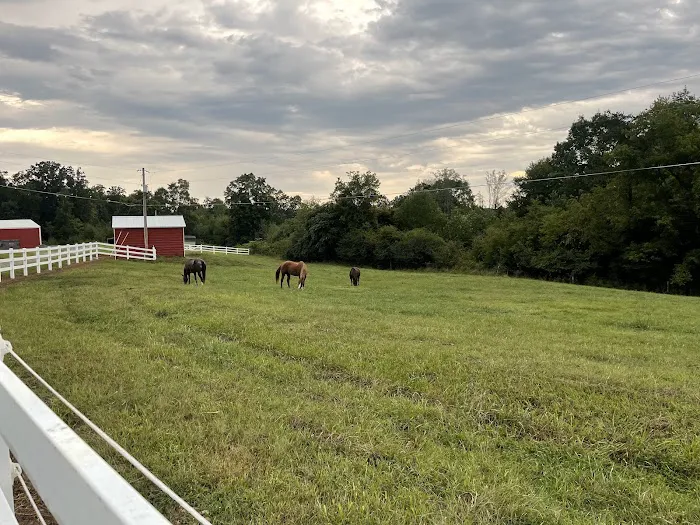 Latitude 36 Mobile Veterinary 2