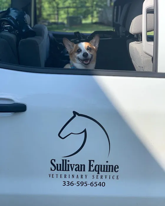 Sullivan Equine Veterinary Service 12
