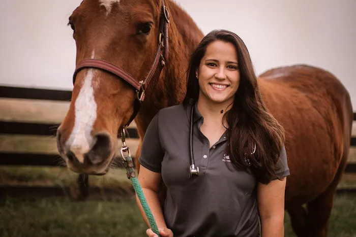 Sullivan Equine Veterinary Service 12