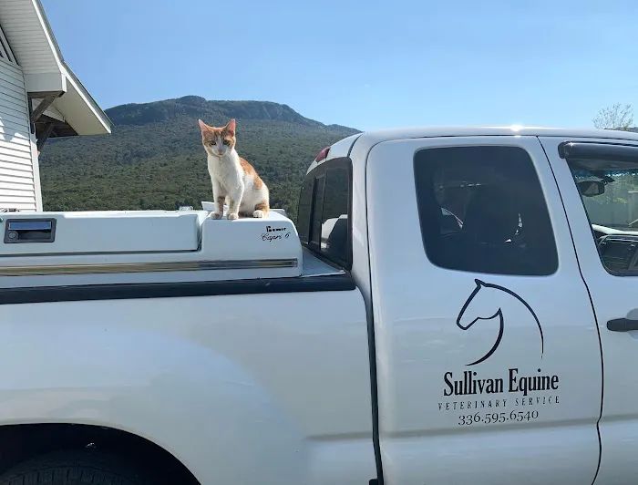 Sullivan Equine Veterinary Service 12