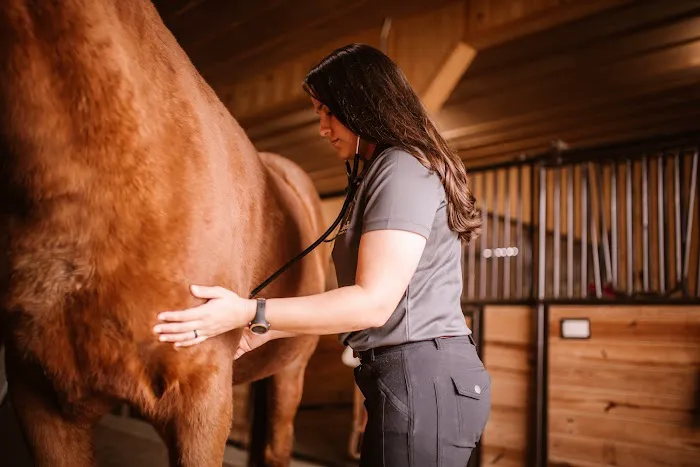 Sullivan Equine Veterinary Service 12