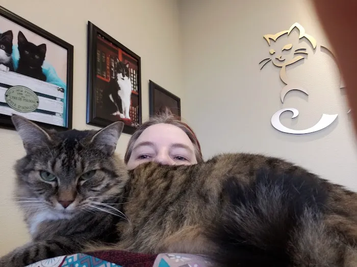 The Cat's Meow Cat Clinic 12
