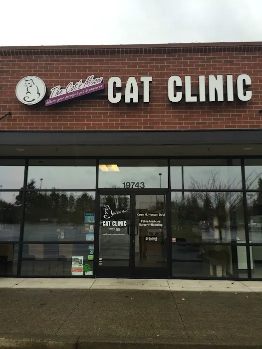 The Cat's Meow Cat Clinic 12