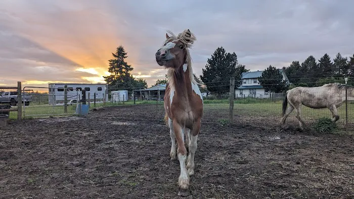 Equus Veterinary Service 4