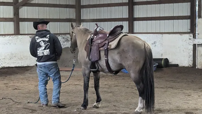 Equus Veterinary Service 1