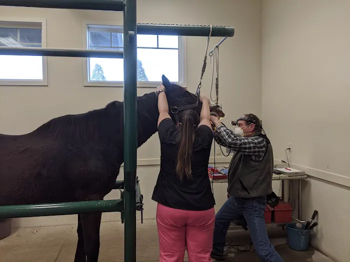 Equus Veterinary Service 7