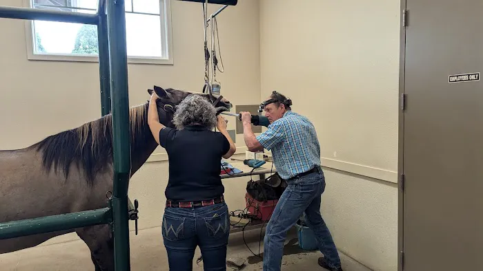 Equus Veterinary Service 2