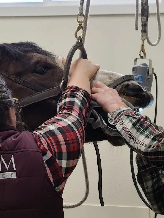 Equus Veterinary Service 6