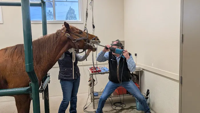 Equus Veterinary Service 5