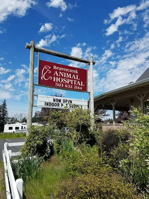 Beavercreek Animal Clinic 8