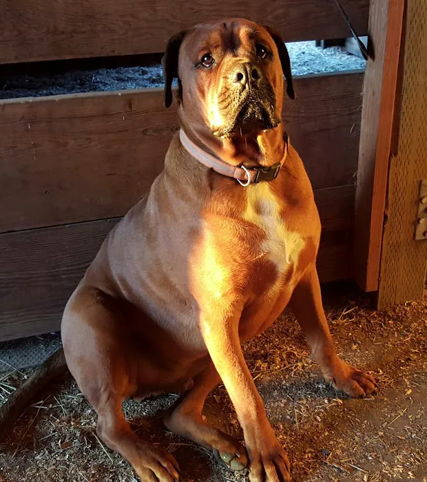 Beavercreek Animal Clinic 2
