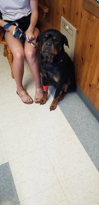 Beavercreek Animal Clinic 7