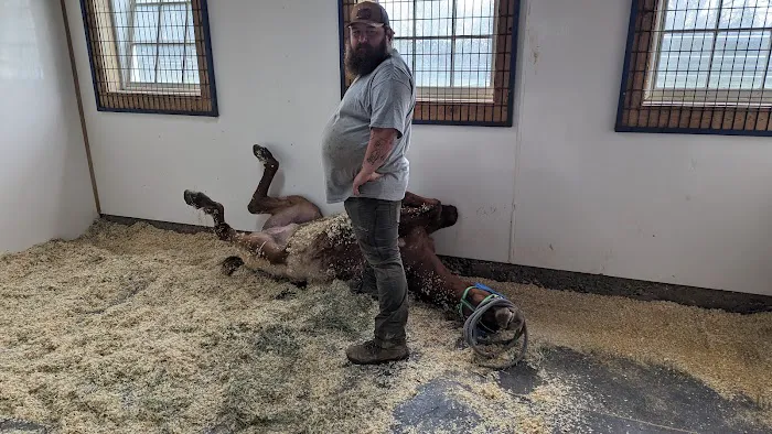 Eagle Fern Equine Hospital 1