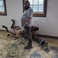 Eagle Fern Equine Hospital ico