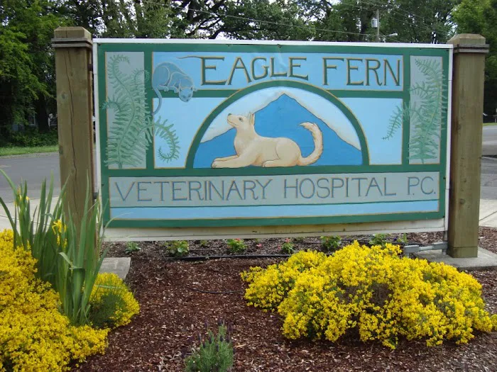 Eagle Fern Veterinary Hospital 6