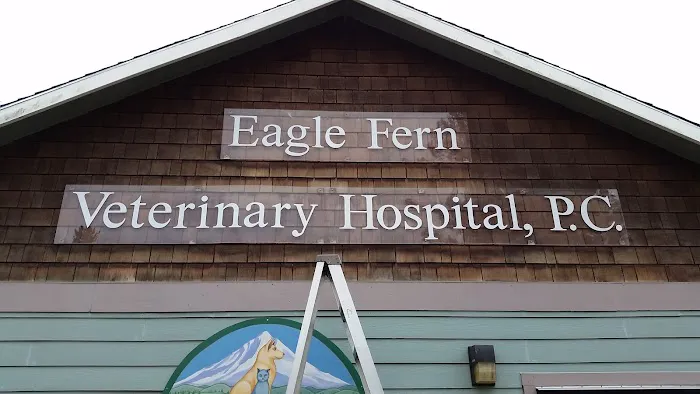 Eagle Fern Veterinary Hospital 8