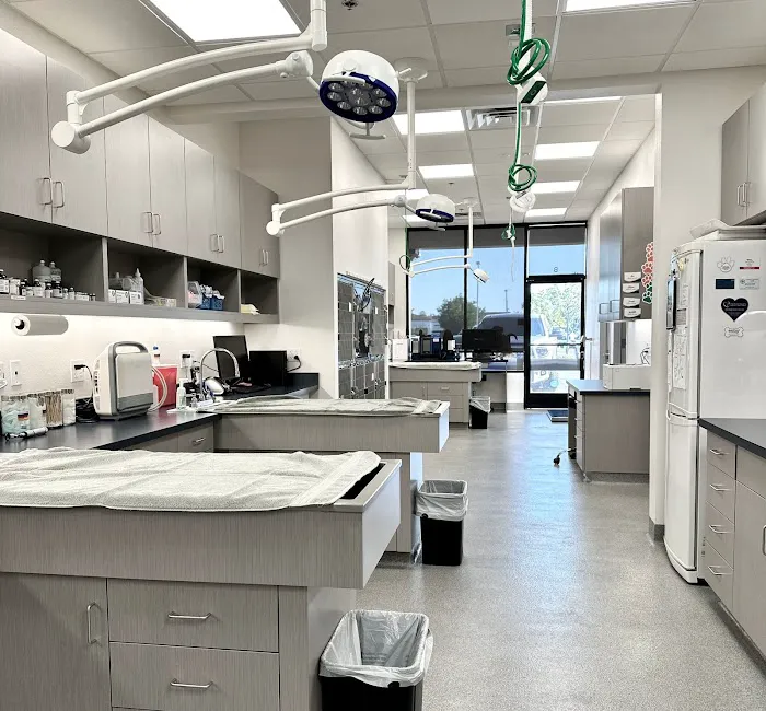 Rancho Niguel Animal Hospital 12