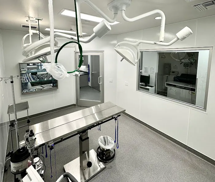 Rancho Niguel Animal Hospital 12
