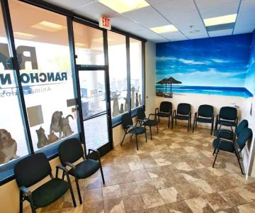 Rancho Niguel Animal Hospital