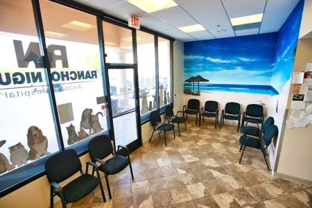 Rancho Niguel Animal Hospital