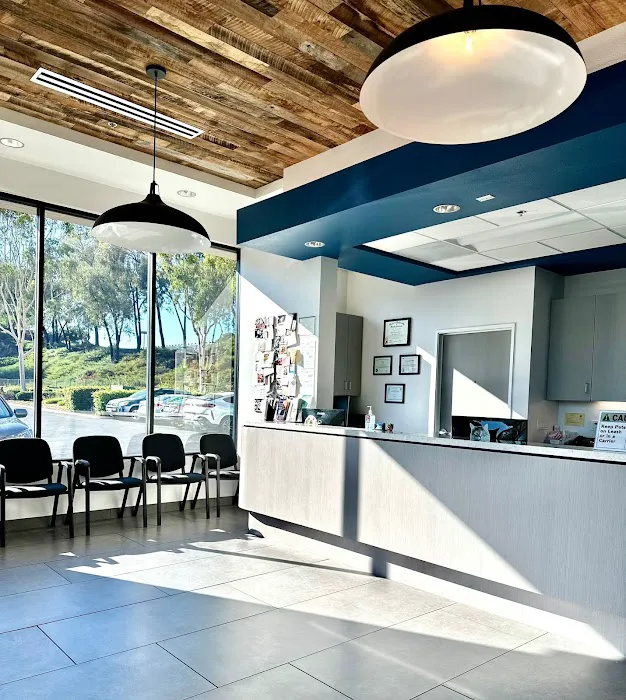 Rancho Niguel Animal Hospital 12