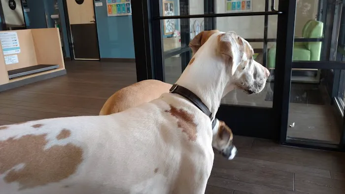 Banfield Pet Hospital 12