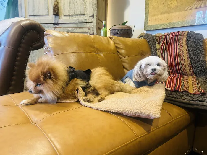 Banfield Pet Hospital 12