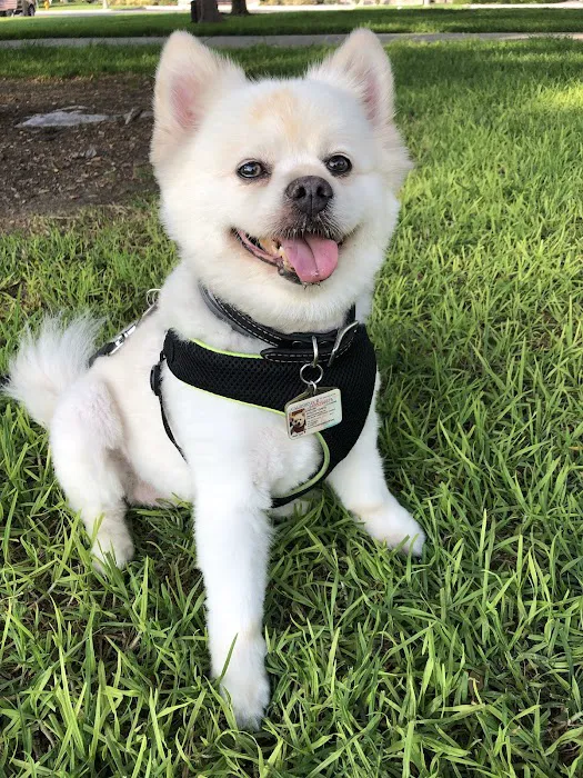 Banfield Pet Hospital 12