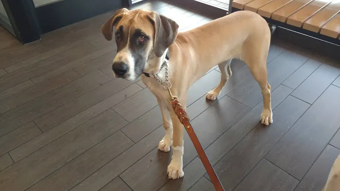 Banfield Pet Hospital 12