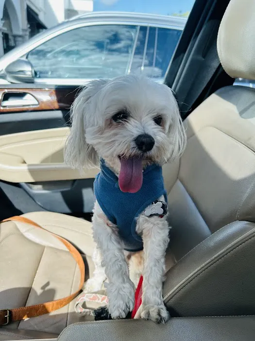 Banfield Pet Hospital 12