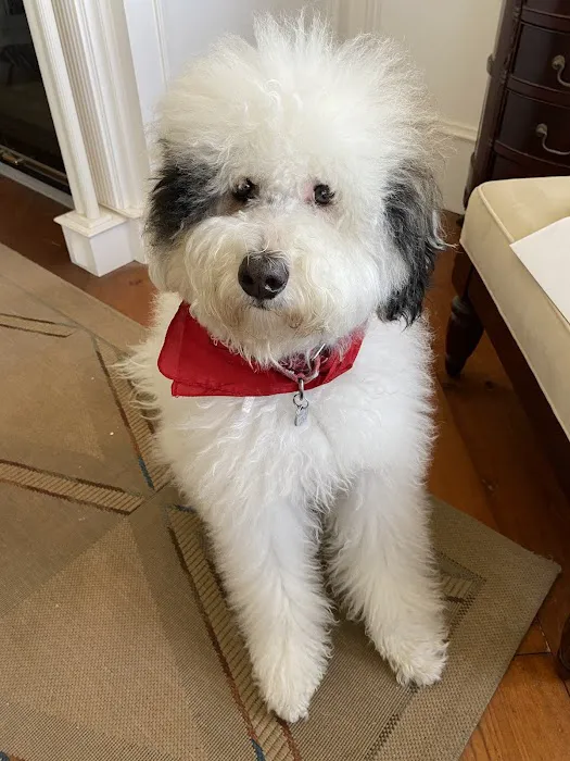 Trinity Pet Hospital 3