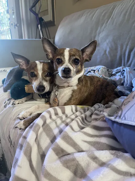 Trinity Pet Hospital 6