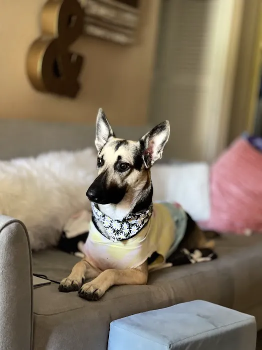 Trinity Pet Hospital 8
