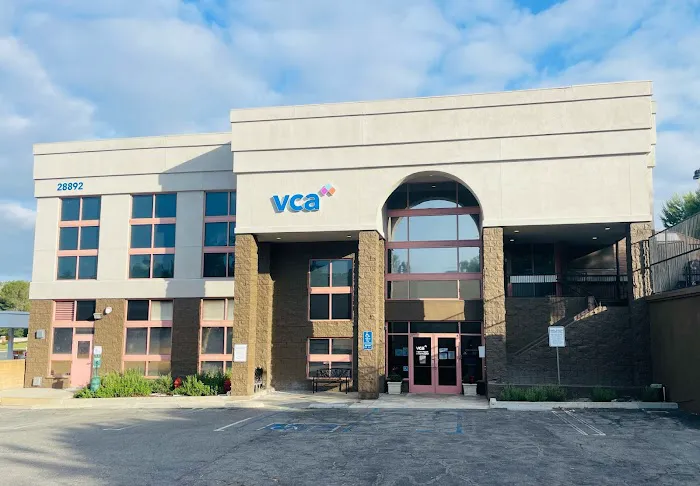 VCA Laguna Niguel Animal Hospital 12