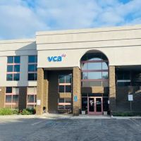 VCA Laguna Niguel Animal Hospital ico
