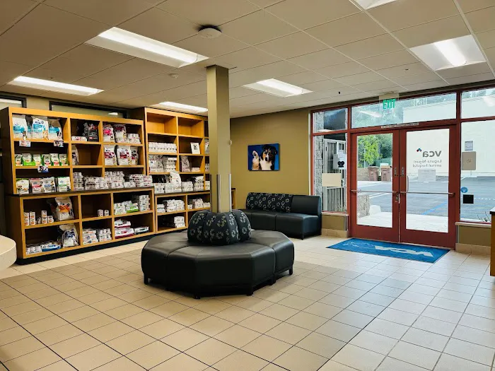 VCA Laguna Niguel Animal Hospital 12