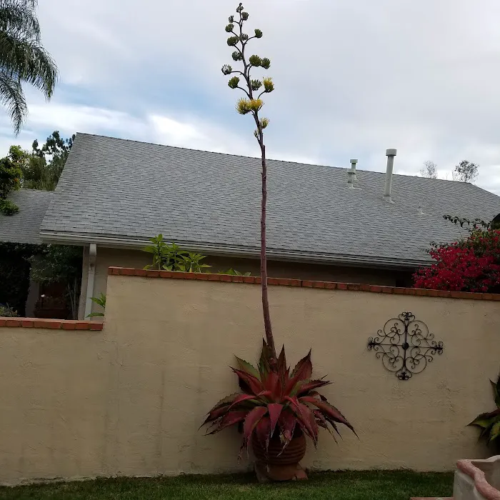 VCA Laguna Niguel Animal Hospital 12