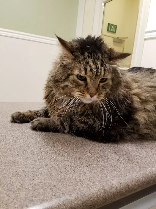 VCA Laguna Niguel Animal Hospital 12
